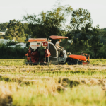 A agricultura moderna como inteligência aplicada à natureza com Alfredo Moreira Filho.
