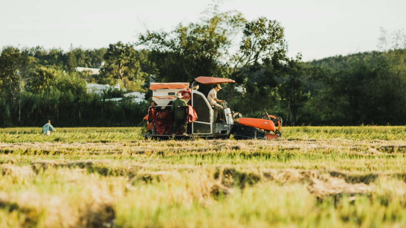 A agricultura moderna como inteligência aplicada à natureza com Alfredo Moreira Filho.