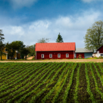 Parajara Moraes Alves Junior