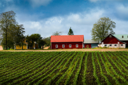 Parajara Moraes Alves Junior