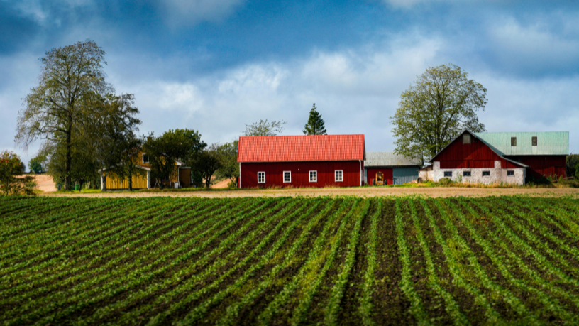 Parajara Moraes Alves Junior