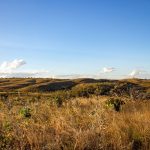 Paisagem de campos e colinas do Cerrado brasileiro sob céu azul.