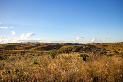 Paisagem de campos e colinas do Cerrado brasileiro sob céu azul.
