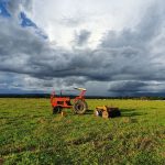 Trator parado em uma extensa plantação verde sob um céu carregado no campo brasileiro