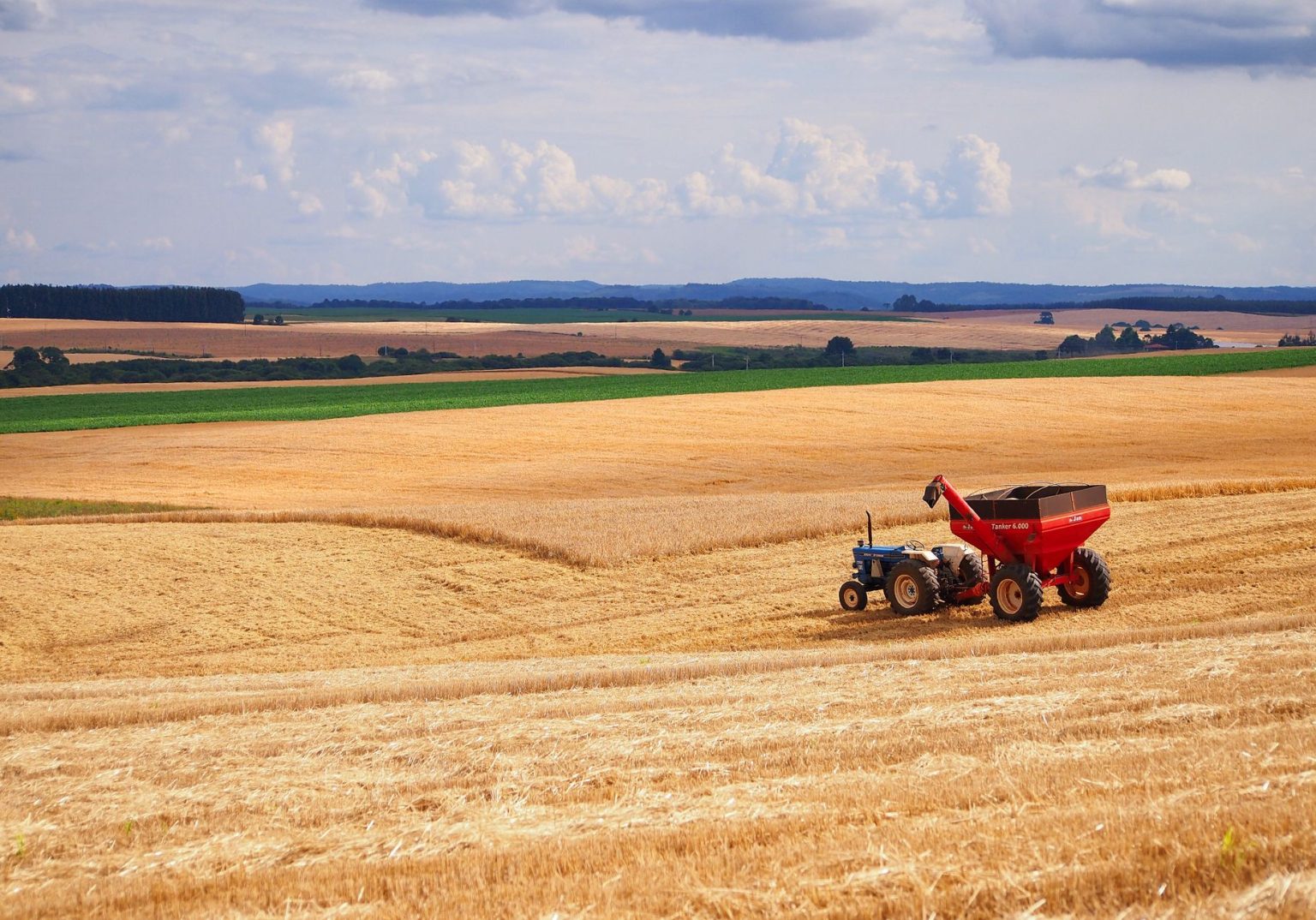 Trator colhe uma plantação em uma extensa área agrícola no Brasil.