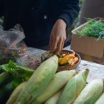 Pessoa escolhe hortaliças em uma banca de feira ao ar livre, cercada por diversos produtos frescos.